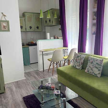 Center Cosy Vintage Apartment Novi Sad Esterno foto