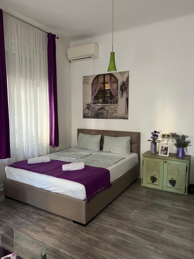 Center Cosy Vintage Apartment Novi Sad Esterno foto