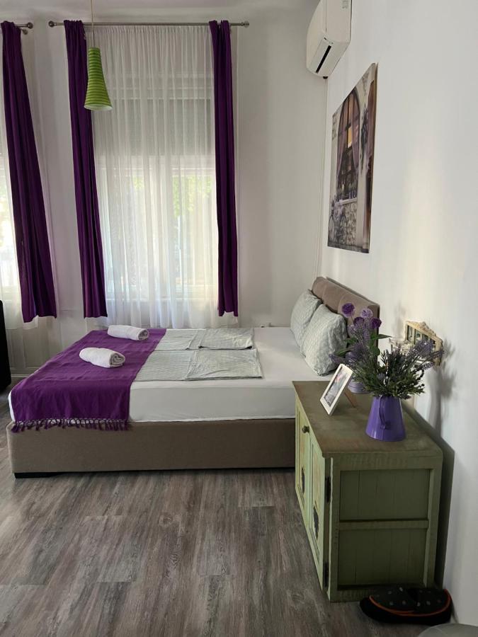 Center Cosy Vintage Apartment Novi Sad Esterno foto