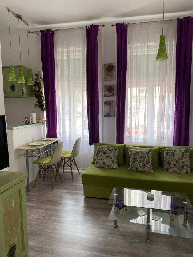 Center Cosy Vintage Apartment Novi Sad Esterno foto
