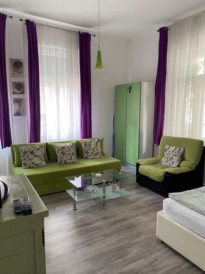 Center Cosy Vintage Apartment Novi Sad Esterno foto