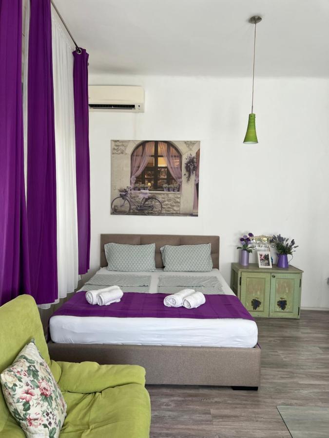 Center Cosy Vintage Apartment Novi Sad Esterno foto