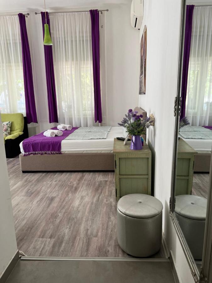 Center Cosy Vintage Apartment Novi Sad Esterno foto