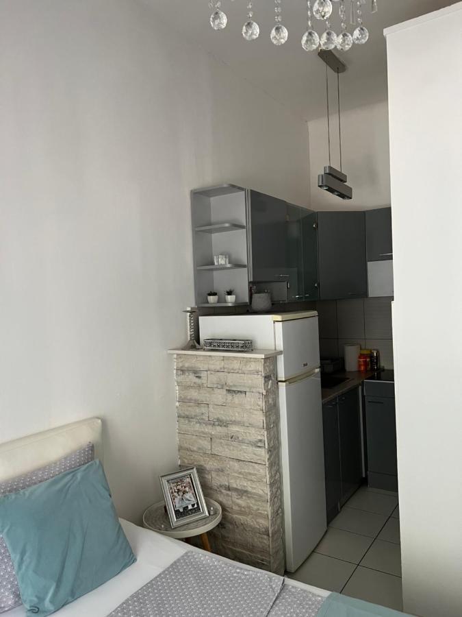Center Cosy Vintage Apartment Novi Sad Esterno foto