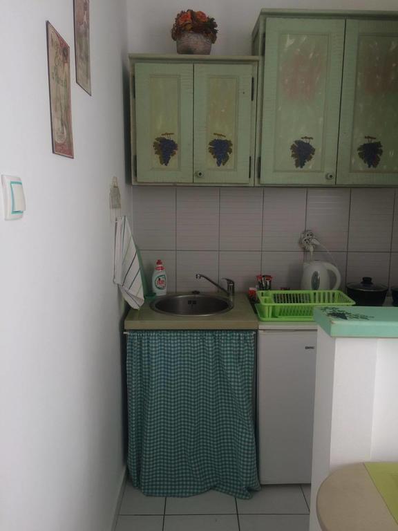 Center Cosy Vintage Apartment Novi Sad Esterno foto
